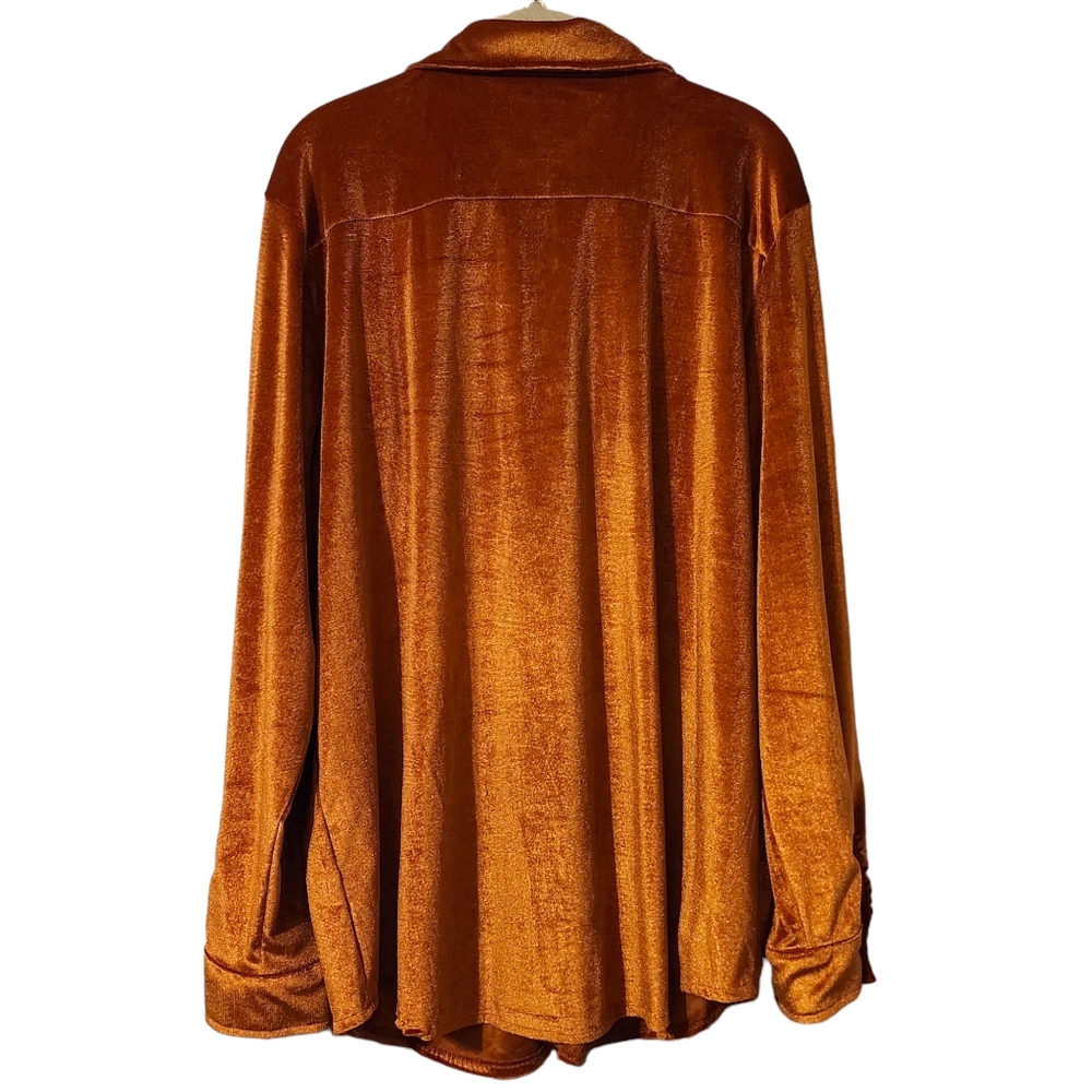 2 Fly Velvedeer Spice Button Down Top - Picture 3 of 6